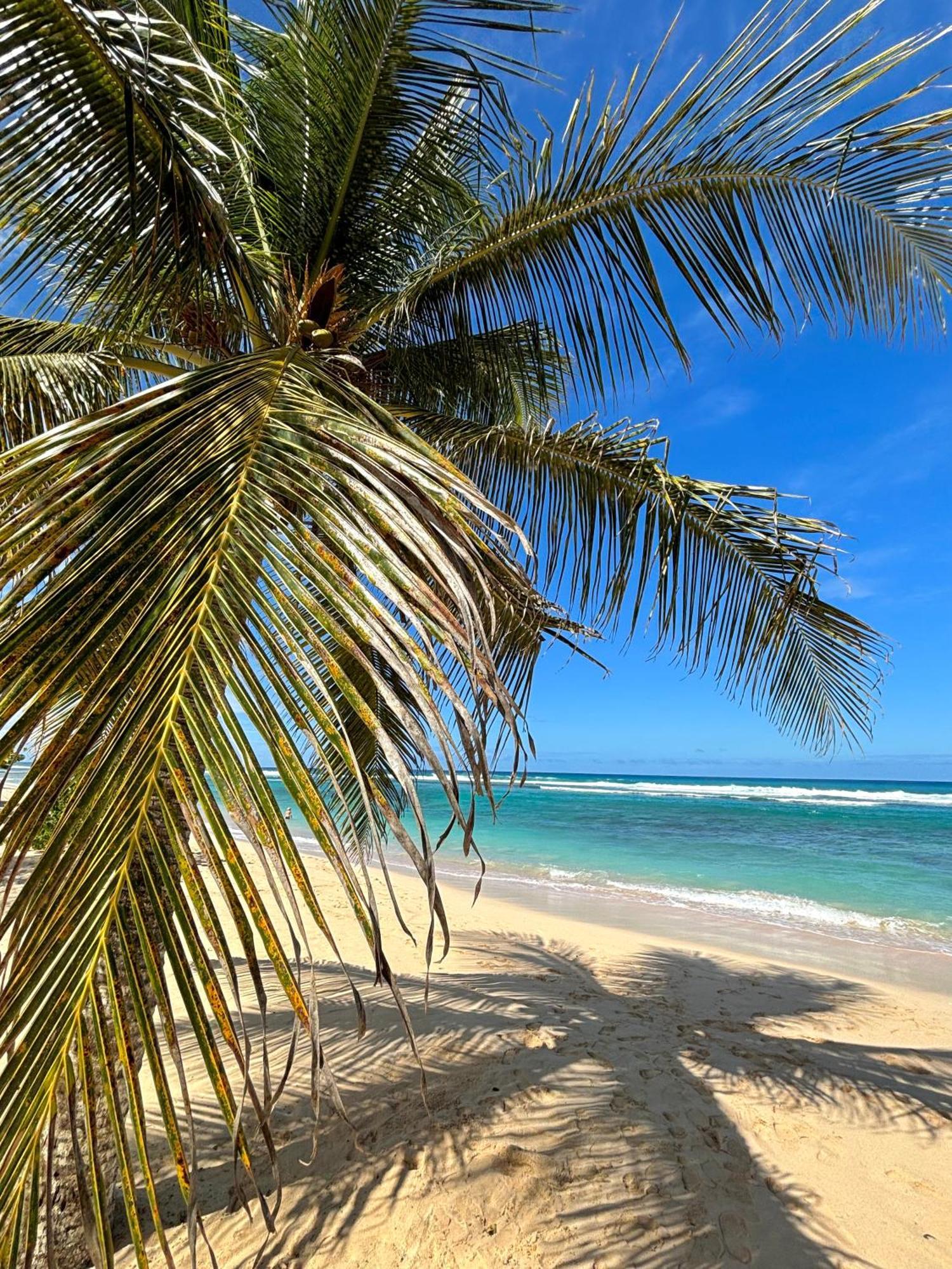 Lavann Wouj - Proche Des Plages Et Du Bourg Villa Anse-Bertrand Kültér fotó